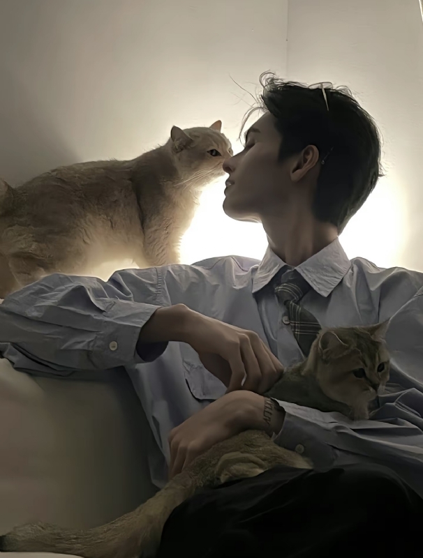 怪猫的第一张照片--福安相亲网